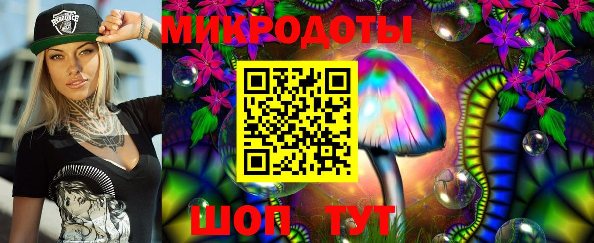 Псилоцибиновые грибы Psilocybine cubensis  Вход с VPN  купить  цена  Биробиджан  Галлюциногенные грибы Psilocybe 